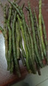米之缘正宗霍山铁皮石斛鲜条九大仙草好枫斗礼品 铁皮石斛鲜条 实拍图