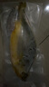 味尔佳 宁德厚切三去大黄鱼500g 对半切 免杀即烹 宁德黄花鱼 生鲜鱼类 实拍图