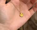 中国黄金（CHINA GOLD）黄金四叶草项链女款足金幸运草吊坠锁骨情人节生日礼物送女友老婆 四叶草吊坠【赠银镀金链】约0.5g 实拍图