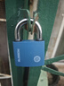 梅花（BLOSSOM）挂锁 铜芯铁锁 室内外大门锁50MM蓝色BC2950 实拍图