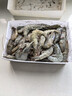 虾有虾途国产青岛大虾白虾青虾基围虾鲜虾冷冻生鲜虾类鲜活特大海捕整箱装 17-20厘米超大号 3.6斤(净重) 实拍图
