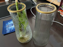 透明玻璃深海花瓶ins风植物干花插花水培大容器台面装饰客厅摆件 透明描边竖条纹(20*6*9) 1个装 实拍图