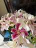 悦多彩AB级优质香水百合 家庭办公室各色生活鲜花 昆明基地 现采直发 粉色百合20朵（双头10枝） 实拍图