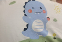 贝肽斯婴儿枕头四季通用0-4岁宝宝幼儿园高度可调透气护颈枕儿童枕头 巴特小恐龙【三芯分阶护颈】 动物 【推荐0-4岁】【50×30cm】 实拍图