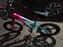 凤凰山地自行车男女变速山地车碟刹青少年儿童自行车学生单车 星际 蓝玫【变速+三刀轮】 20寸【适合125-160cm】 实拍图