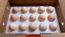 圣迪乐村 OMEGA-3儿童营养蛋鲜鸡蛋20枚礼盒装净重2斤 牛奶搭档源头直发 实拍图
