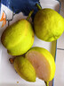 锁季新疆库尔勒香梨现摘新鲜水果脆甜香妃全母梨孕妇水果春节礼盒送礼 净重8斤甄选中果 单果100-120g 实拍图