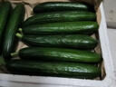 京鲜生 山东水果小黄瓜净重5斤单果80g+ 健康轻食 源头直发 实拍图