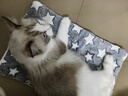 HELLOJOY狗垫子狗窝冬季保暖猫垫子宠物冬加厚猫窝睡觉用毛毯猫咪狗狗睡垫 实拍图
