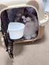 哈巴斯（Habas）便携外出折叠宠物猫国航航空箱猫咪专用车载猫笼子猫箱宠物托运箱 【25斤内宠物】烟灰白-送隔板 重量2.15kg 【升级加厚 耐磨抗压】 实拍图