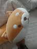 名创优品（MINISO）白熊柴犬小猪B-BO弹力柔毛绒公仔玩偶娃娃抱枕玩具生日礼物女520 阿柴长条抱枕（长110cm） 见详情 实拍图