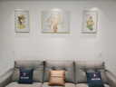 猫九酱奶油风客厅装饰画简约现代小清新花卉三联画高级感沙发背景墙挂画 实拍图