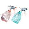 喷壶浇花浇水喷雾器气压式喷水壶家用园艺养花500ml 南瓜喷壶透蓝【1个装】 实拍图