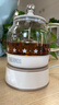 膳魔师（THERMOS） 迷你养生壶办公室煮茶器电水壶恒温电热水壶玻璃花茶壶养生杯 礼物 七夕情人节礼物 EHA-1602E-G(本白色） 0.55L 实拍图
