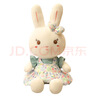 惠妮宝贝毛绒玩具小白兔兔子公仔布娃娃可爱女孩布偶小兔子玩偶生肖兔礼物 绿色 60厘米 实拍图