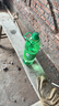 百事可乐七喜7UP 柠檬味 碳酸饮料汽水 2L*6瓶 整箱装 家庭宴会 实拍图