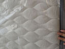 富安娜床垫 乳胶弹簧床垫 政府补贴软硬两用护脊椰棕硬床垫席梦思床垫子 D款软硬两用21cm-袋簧+乳胶+椰棕 1.5*2米 实拍图