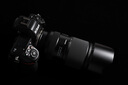 腾龙（Tamron）A065Z 70-180mm F/2.8 Di III VC VXD G2二代防抖大光圈长焦变焦全画幅微单镜头（尼康Z卡口） 实拍图