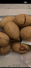 三只松鼠碧根果500g/袋装 坚果炒货干果手剥休闲零食送礼一斤装  实拍图