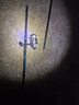 全金属轮海竿套装超硬碳素远投竿钓鱼竿海钓甩杆金属鲢鳙海杆抛竿 3.6m 【鱼舵主黑】挑战120斤 【鱼竿单根】-无赠品 实拍图