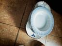 以辰景德镇陶瓷家用饭盘汤盘菜盘子微波炉适用8英寸深盘金枝玉叶 实拍图