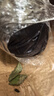 漫生活进口泥炭营养土12L绿植花土壤泥炭土花卉有机土通用种植土兰花土 实拍图