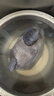 温氏供港老乌鸡2斤（半边鸡） 黑金土乌鸡400天龄老乌鸡 冷冻火锅食材 实拍图