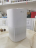 小熊（Bear）空气净化器除烟味新房家用桌面办公室小型除异味过敏原鼻炎哮喘花粉神器【送除醛滤芯】 小鲜风C2 实拍图
