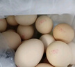 东方甄选谷物鲜鸡蛋/DHA/大码蛋可生食新鲜营养早餐溏心蛋生鲜谷物喂养 15枚 0.75kg 谷物鲜鸡蛋 实拍图