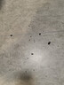 虫小将热门商品推荐蟑螂药特效强力全窝端虫卵双杀呋虫胺驱虫除虫喷雾剂 实拍图