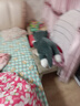 熊猫熊抱枕长条毛绒玩具女孩布娃娃公仔儿童毕业礼物二哈士奇趴趴狗抱抱熊床上陪睡觉抱枕大号玩偶女生生日礼物女送男女朋友1m 实拍图