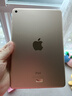 Apple苹果 iPad Air1/Air2/Air3 迷你mini2/4/5 二手平板电脑ipad iPad mini4 64G WiFi版 95成新 实拍图