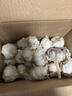 京鲜生江苏邳州新鲜大蒜干蒜净蒜新鲜蔬菜蒜味浓郁净重3斤蔬菜源头直发  实拍图