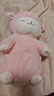 名创优品（MINISO）羊咩咩站姿樱花羊毛绒公仔毛绒玩具玩偶抱枕娃娃生日礼物女 27cm 实拍图