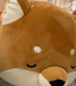 名创优品（MINISO）柴犬系列毛绒公仔趴姿玩具娃娃抱枕睡觉室内卧室办公室生日礼物 实拍图