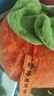 范爷家柿子抱枕毛绒玩具创意腰靠垫柿柿如意生日礼物送男女友实用礼品 实拍图