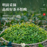 越乡明前龙井茶叶2025绿茶新茶罐装250g豆香型自己喝浓香耐泡口粮茶 实拍图
