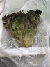 绿食者 沙拉蔬菜组合3.5斤 新鲜苦菊绿叶红叶生菜西餐沙拉健康轻食蔬菜 蔬菜沙拉组合3.5斤【无沙拉酱】 实拍图