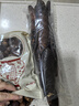 侧柏叶无患子皂角浮萍女贞子何首乌榆树皮自制洗发水中药材中草药 皂角500g 实拍图