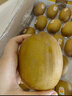佳沛（zespri）新西兰  阳光金奇异果18粒超大果原箱单果重约173-204g 猕猴桃 实拍图