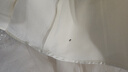 京东洗衣 洗衣服务 洗鞋服务 衣鞋任洗 上门取件 干洗水洗 洗衣服 刷鞋 网面/革面运动鞋/羽绒服等 衣鞋任洗6件 实拍图