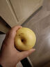 京鲜生 河北青翠蜜梨 净重3斤 单果220g+ 青皇冠梨 生鲜水果 源头直发 实拍图