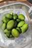 鲜级佳2025新鲜橄榄正宗青橄榄果生青果福建闽清檀香榄煲汤回甘水果现摘 1斤 实拍图