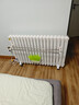 臻泊迩取暖器注水式电暖气片电暖器壁挂立式水暖家用全屋取暖大面积升温插电节能省电加水循环散热器烘衣 10柱智能遥控款【10-12㎡】 实拍图