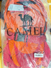 骆驼（CAMEL）【山栖】户外轻便登山包大容量专业徒步防水旅行背包双肩包朱雀红 实拍图
