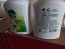 滴露（Dettol）洗手液松木500g瓶 健康抑菌消毒非补充装 儿童家庭用清爽去油 实拍图