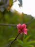 永诺（YONGNUO） YN50mm F1.8适用于索尼口适用于尼康口微单大光圈自动对焦镜头 YN50mm F1.8S Lite 索尼E 半幅黑 实拍图