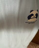 GENIOLAMODE[敖瑞鹏代言]t恤男士纯棉透气夏季休闲印花百搭短袖男装 白色 L 实拍图