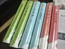 白老虎/赵德发文集纪实文学安徽文艺出版社文坛佳作传统文化书写文学图书 实拍图