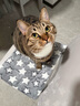 HELLOJOY狗垫子狗窝冬季保暖猫垫子宠物冬加厚猫窝睡觉用毛毯猫咪狗狗睡垫 实拍图